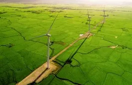Europe Wind Farms
