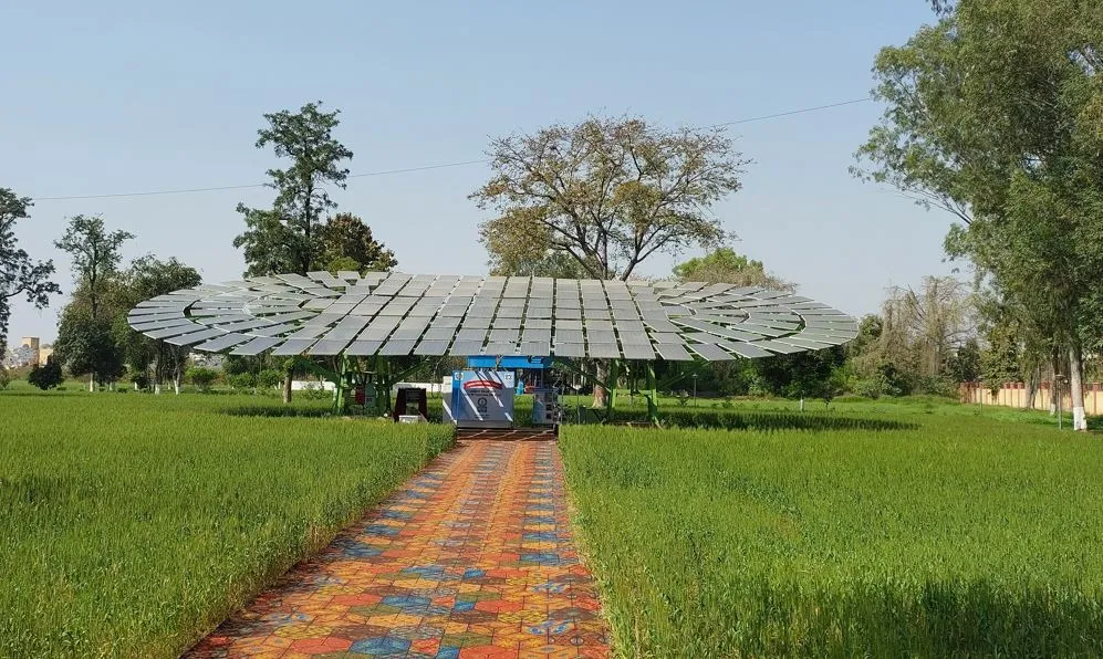 largest solar tree