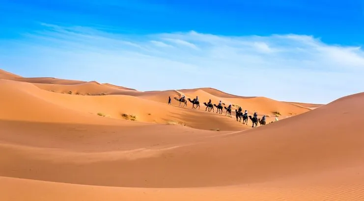 Silk Route