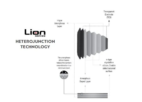 Lion Series By Recom