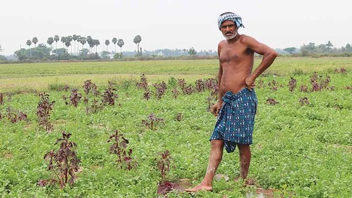 Under the scheme, farmers can lease their land to setup solar panels. Photo by-Manish Kumar/Saur Energy