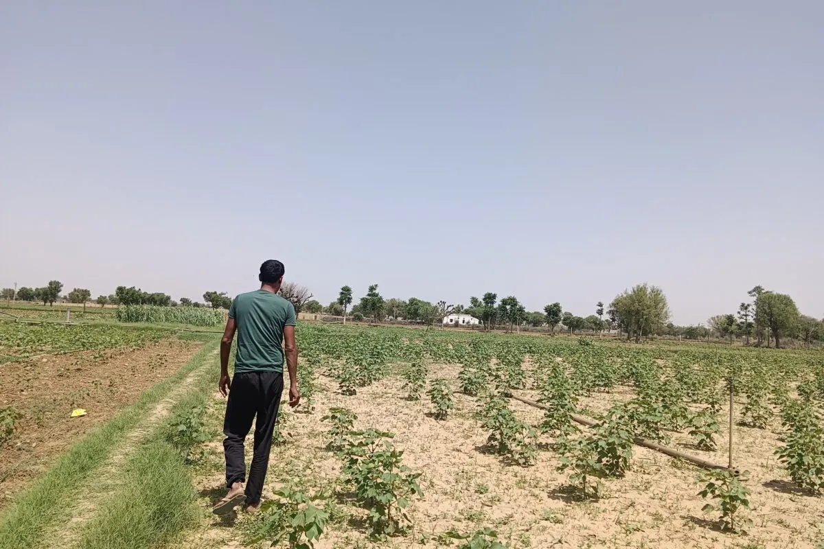 Manoj Kumar showing his farm at Chainpura village. Photo by Parul Kulshrestha/Mongabay.