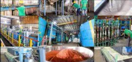 Recyclekaro Prassann Dahpal Rajesh Gupta Recycle Karo lithium batteries wate recycling metals waste management