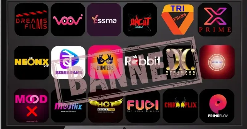 publive-image