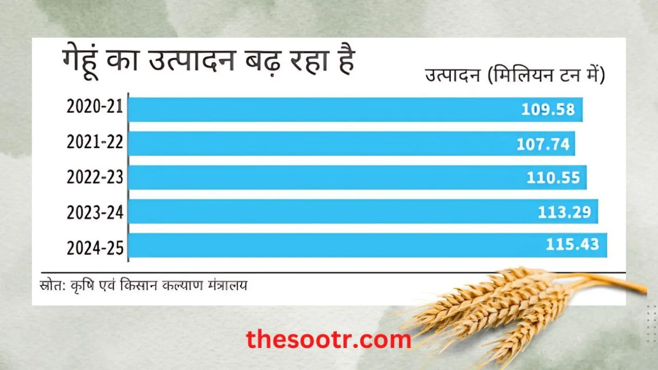 Wheat production 