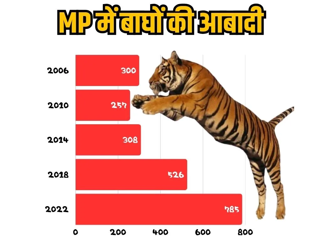 Tiger population in MP 