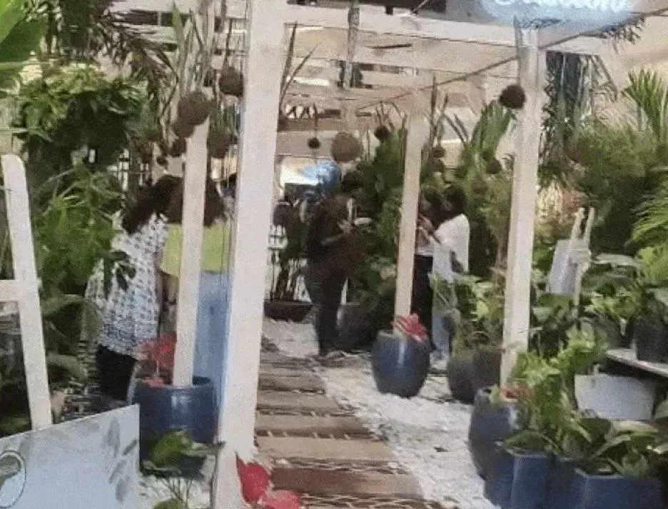 The sootr