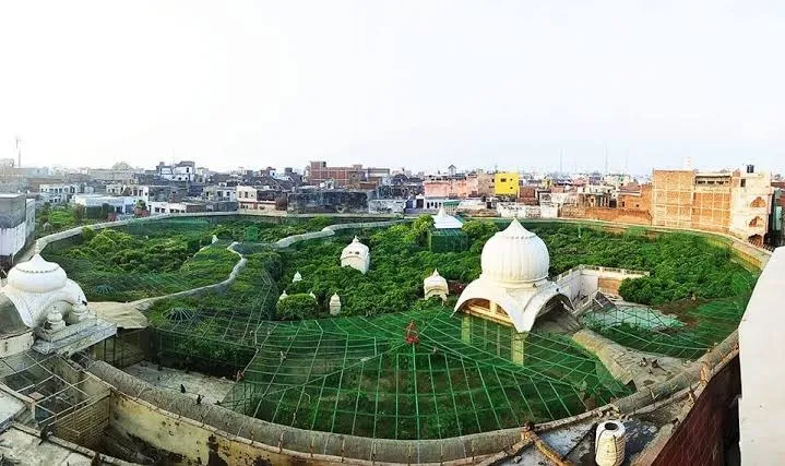 banke bihari corridor