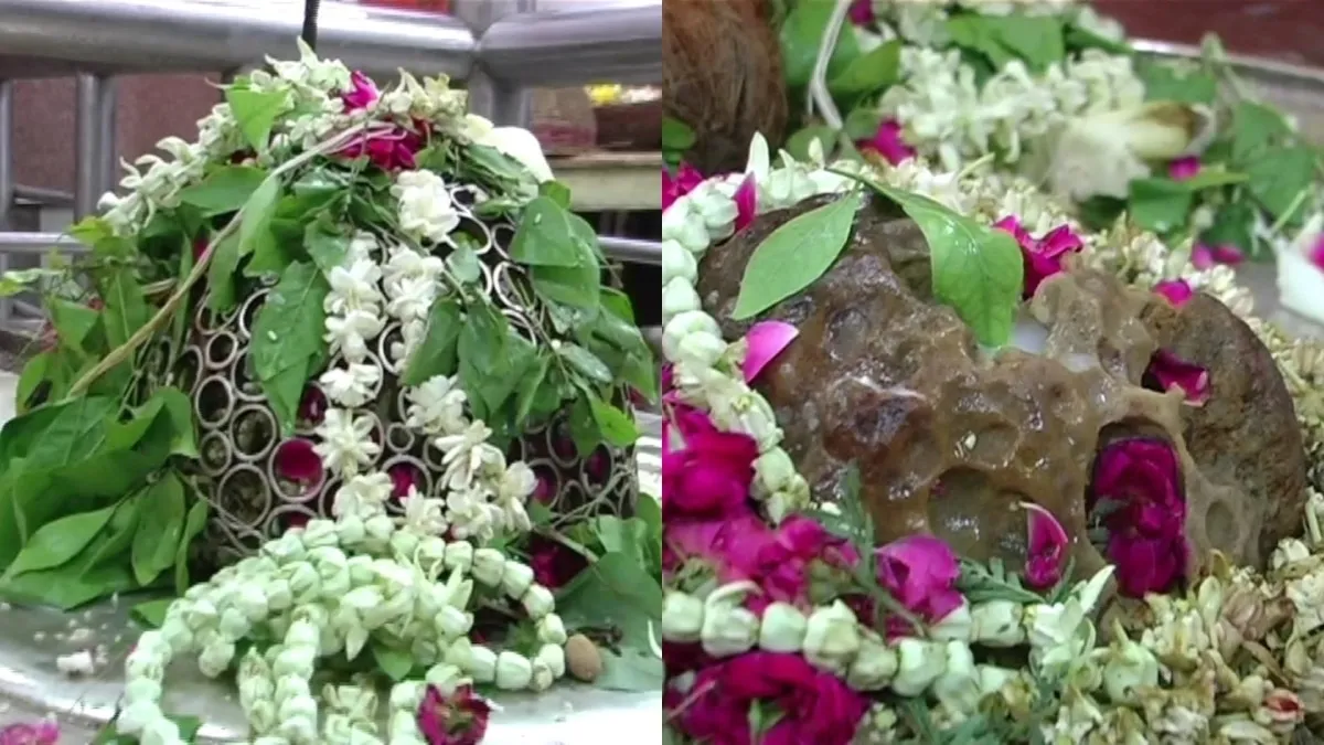 रीवा का महामृत्युंजय मंदिर... यहां पूजन से अकाल मृत्यु टलने की मान्यता,  असाध्य रोगों और भय से मिलती है मुक्ति - Rewa Mahamrityunjaya Temple One  gets freedom from ...