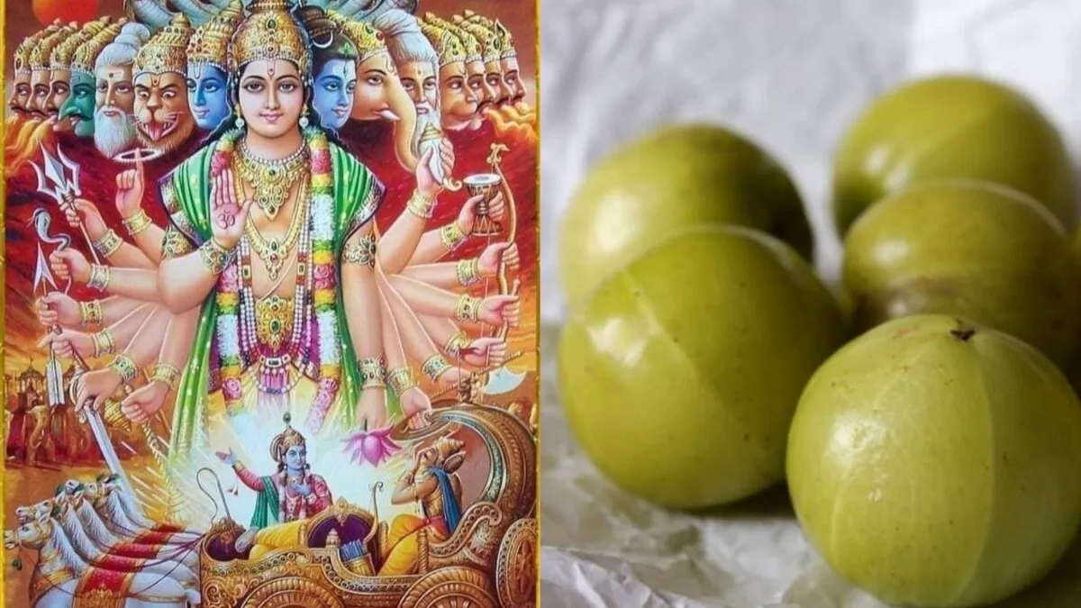 Akshay Navami 2023: अक्षय नवमी पर करें ये खास उपाय, साल भर श्री हरि की बनी  रहेगी कृपा - akshay navami 2023 do these special remedies or upay related  to Amla on