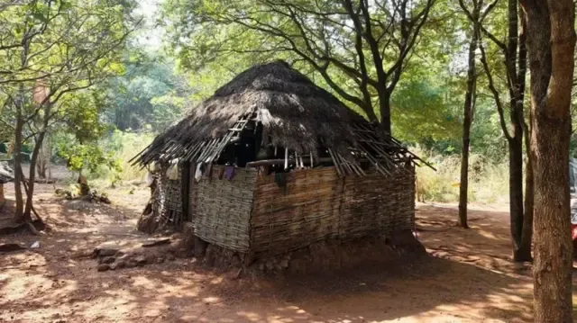 रेड्डैया को जानने वाले लोगों का कहना है कि अगर उन्हें (रेड्डैया) जंगल से बाहर लाया भी गया तो शांति से नहीं रह पाएंगे 