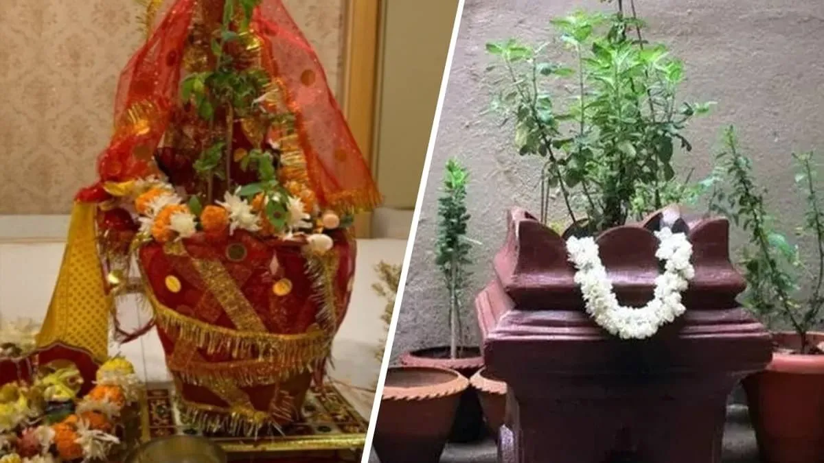 Tulsi Vivah 2025: 2 या 3 नवंबर कार्तिक माह में कब है तुलसी विवाह? जानें शुभ  मुहूर्त | Republic Bharat