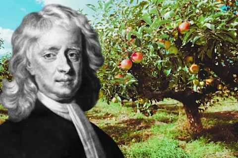 आइज़ैक न्यूटन के बारे में 5 अनोखे तथ्य | डिस्कवर मैगज़ीन