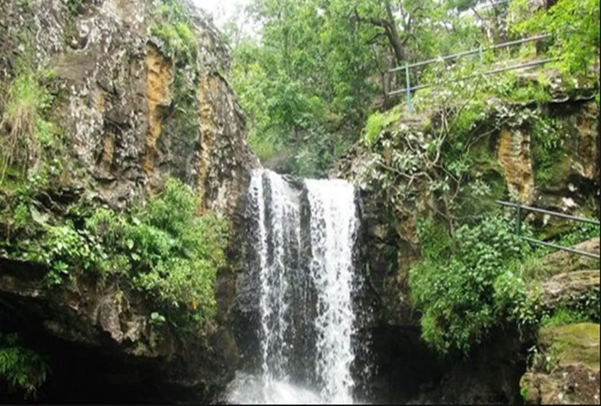 देखने हैं जंगल, झरने,नदी,पहाड़ तो नए साल में मध्यप्रदेश में बनाएं घूमने का  प्लान - Madhya Pradesh Best Place To Visit In Deember - Amar Ujala Hindi  News Live