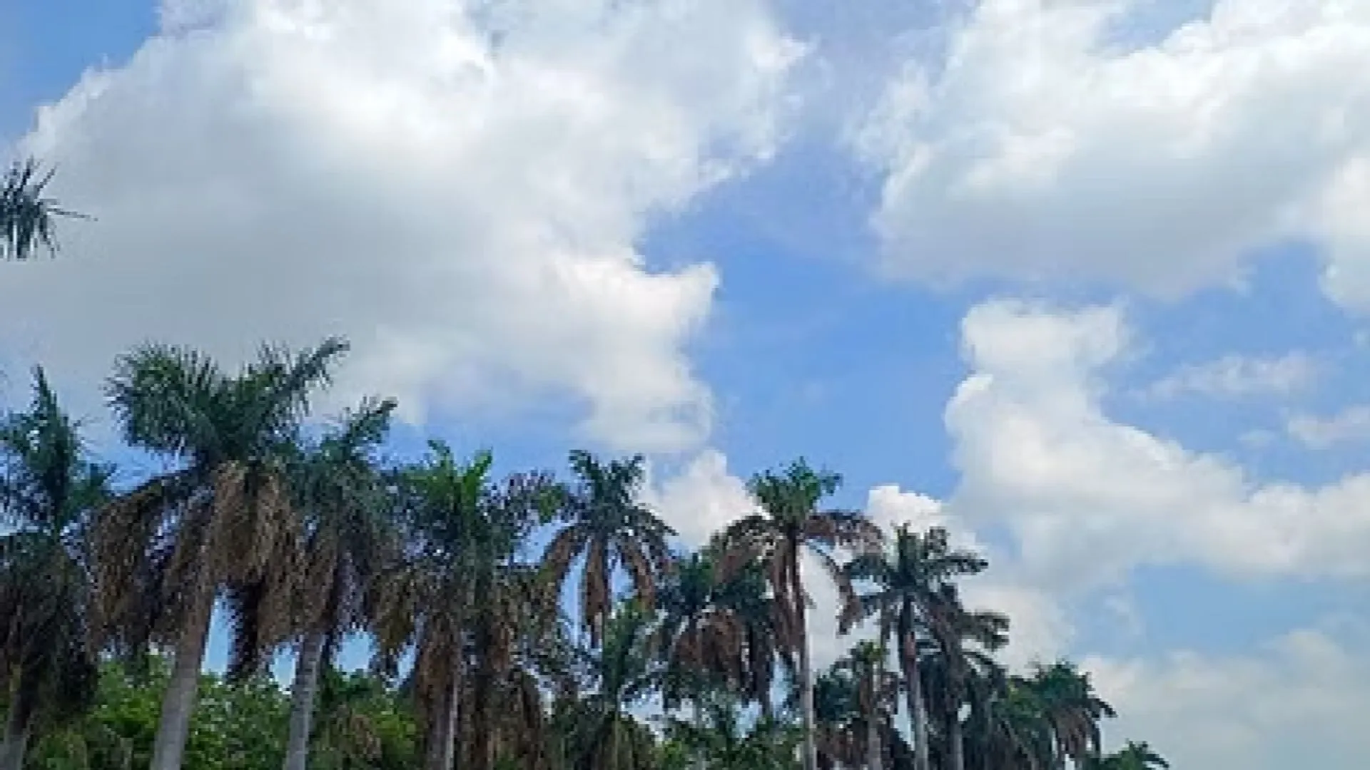 Preparations For Departure Of Monsoon In Chhattisgarh, Light Rain Expected  In Next Few Days, - Amar Ujala Hindi News Live - Weather:छत्तीसगढ़ में  मानसून की विदाई की तैयारी, अगले कुछ दिन हल्की