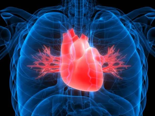 Risk Factors Of Heart Disease: दिल के बीमार होने की 6 अजीब वजहें, जिन पर  यकीन करना है मुश्किल | Six strange risk factors of heart disease which are  hard to believe