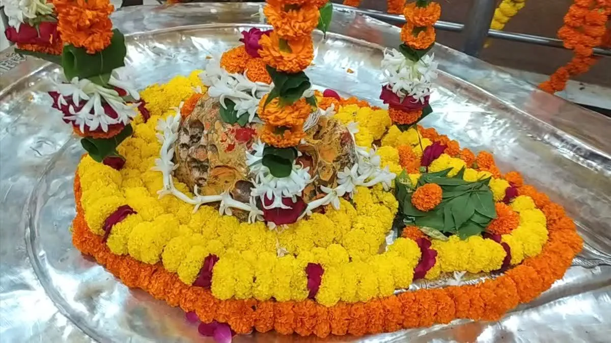 रीवा में इकलौता आलौकिक महामृत्युंजय धाम, अकाल मृत्यु मुक्ति का दिव्य द्वार