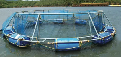 Fisheries :: Home