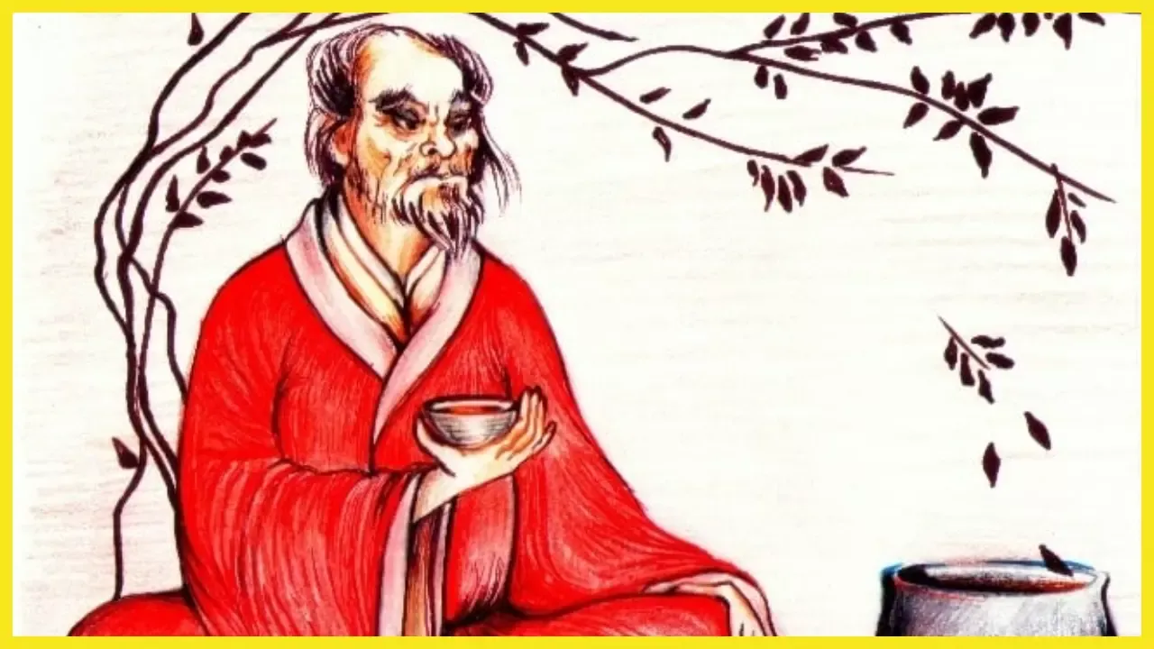 Chai Ka Itihas Kya Hai | History Of Tea | Tea Defination in Hindi | Tea  Types Details in Hindi | News Track Hindi News | Chai Ka Itihas: पत्तियों  से लेकर