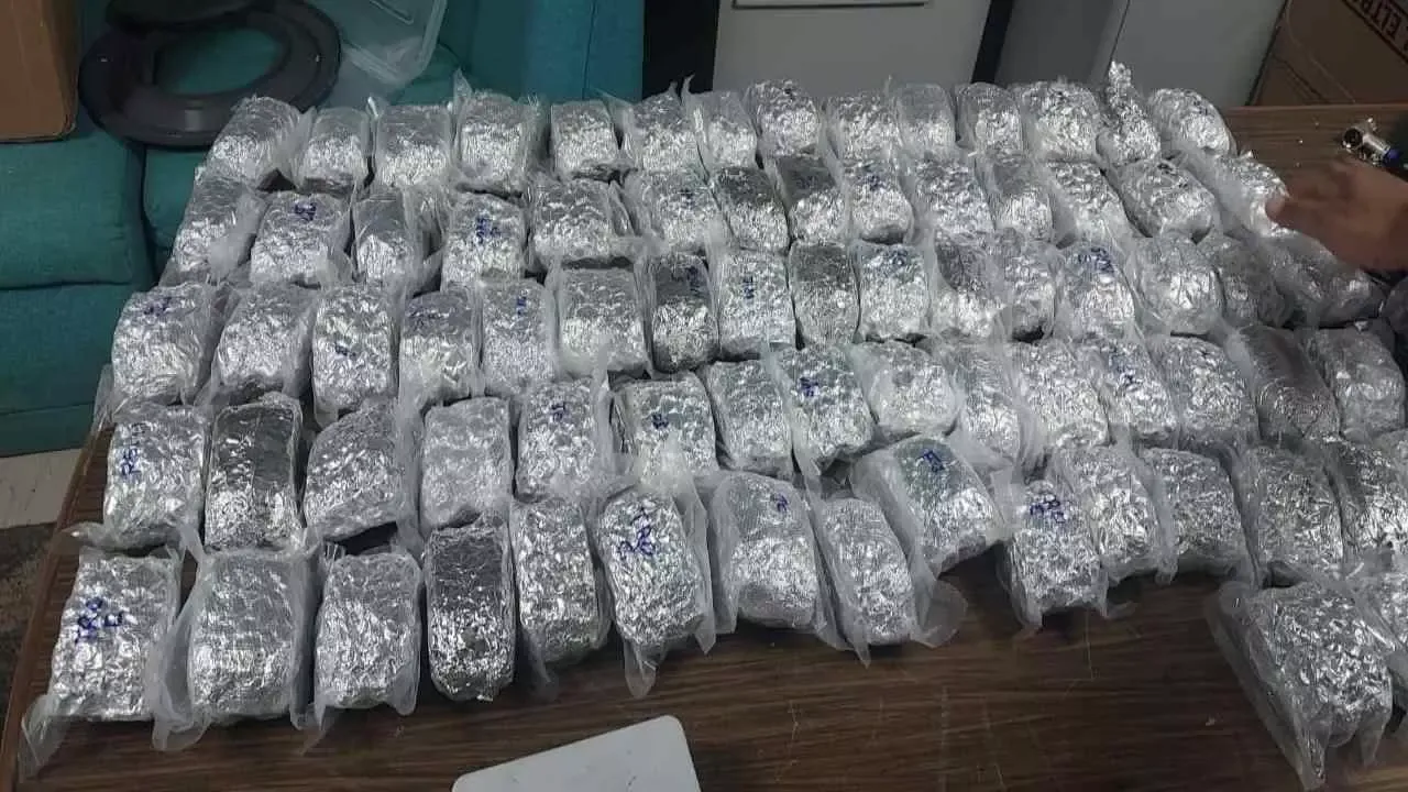 Hydroponic ganja seized, Lucknow airport drug bust, 15.46 kg hydroponic  weed, DRI drug seizure Lucknow, Bangkok to Lucknow ganja smuggling, airport  marijuana seizure India, high grade cannabis India, hydroponic weed from  Bangkok,
