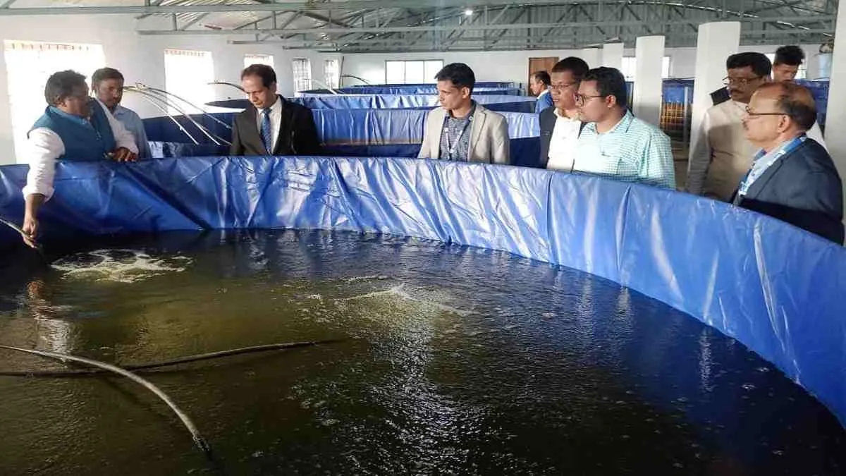 Aquaculture: एक्वाकल्चर के क्षेत्र में भारत का बढ़ेगा Export, रिकॉर्ड  उत्पादन के दिशा में अहम कदम | Andhra will be forefront of marine exports in  2021-22 aquaculture industry on top - Hindi ...