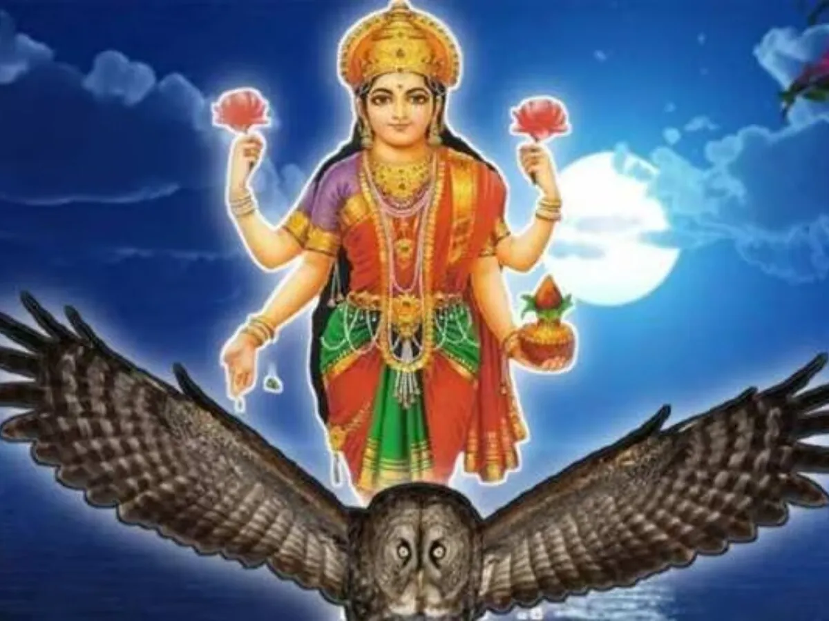 Mata Laxmi ka vahan why owl became vehicle of goddess laxmi read  interesting story behind it | Maa Laxmi: क्या आप जानते हैं उल्लू कैसे बना  'धन की देवी' मां लक्ष्मी का