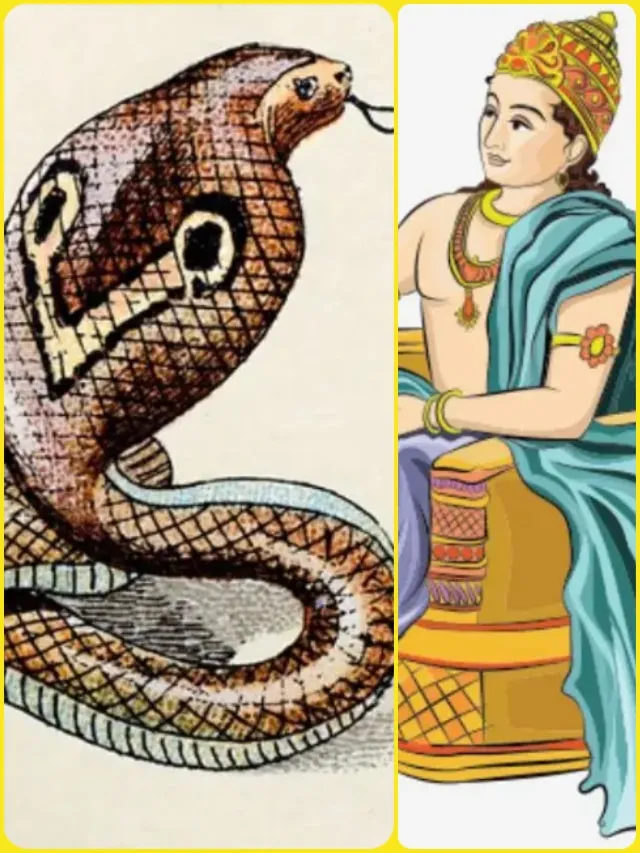 Takshak Naag know the Mahabharata connection bite King Parikshit | ' तक्षक नाग' जिसके डंसने से राजा परीक्षित की हुई थी मौत, जानें- इस नाग  का महाभारत कनेक्शन | Hindi News, धर्म