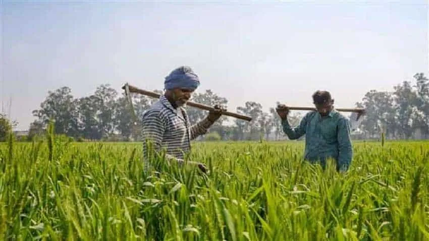 किसानों के लिए अच्छी खबर! प्रधानमंत्री फसल बीमा योजना में बदलाव को सरकार  तैयार, जानिए स्कीम के फायदे