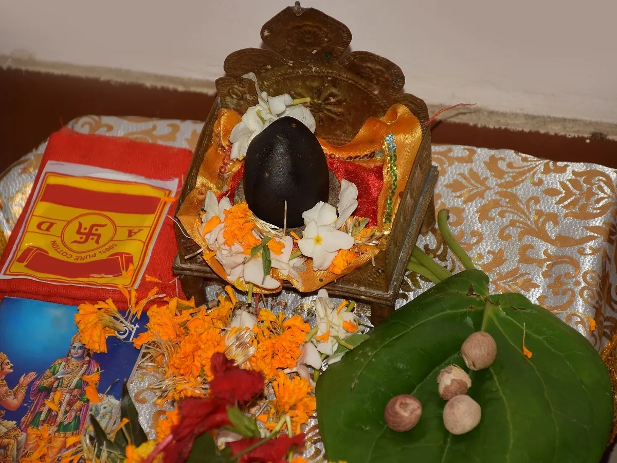 Shaligram puja why dev shila shaligram bhagwan puja important interesting  mythological significance - क्यों पूजे जाते हैं शालिग्राम? क्यों कहे जाते  हैं गंडकी नंदन? बड़ा ही रोचक है ...