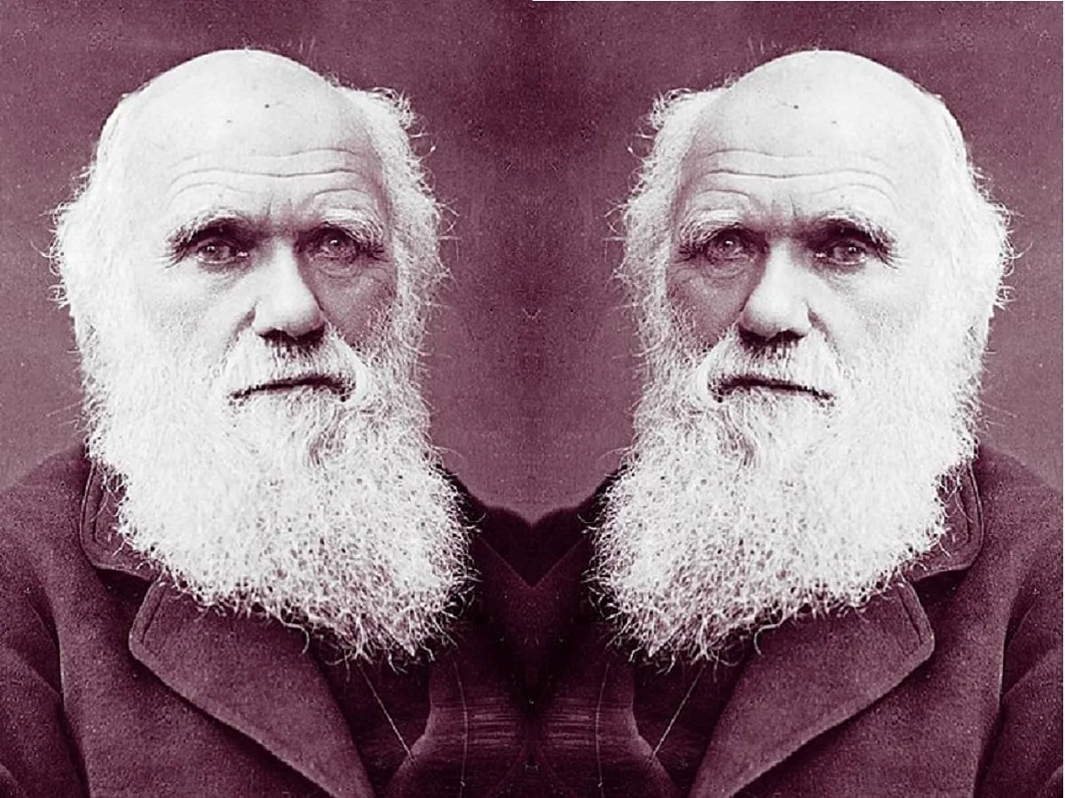Charles Darwin Death Anniversary Charles Darwin significance in  contemporary world - आज भी प्रासंगिक क्यों है चार्ल्स डार्विन का सिद्धांत -  News18 हिंदी