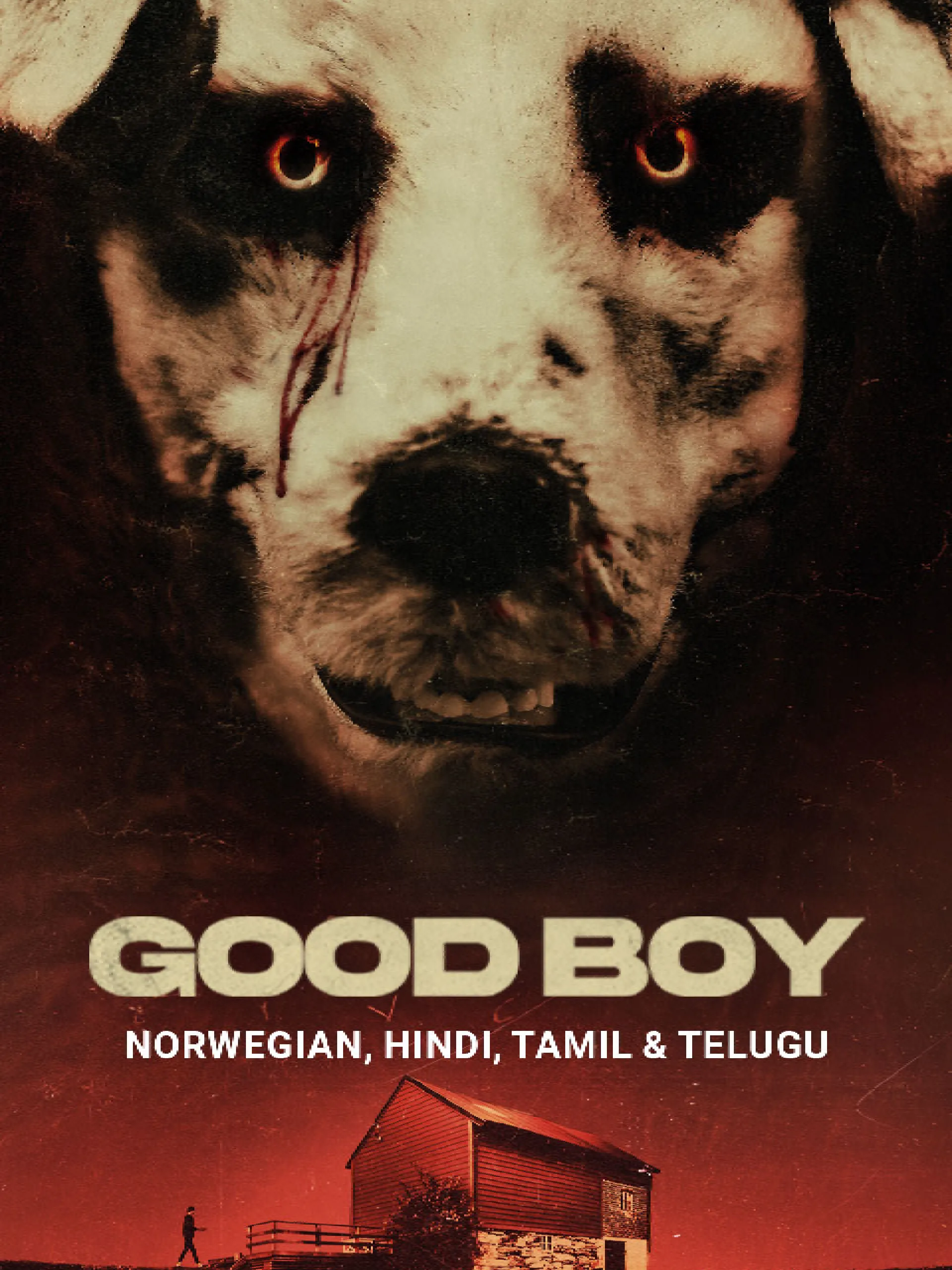 Prime Video: Good Boy
