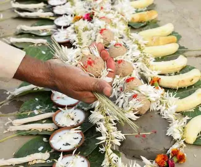 Pitru Paksha 2020 Daan: पितृपक्ष में नमक के दान का है विशेष महत्व, इन 10  वस्तुओं का करें दान - Pitru Paksha 2020 Daan, Donate These Ten Things  During This Period, Know