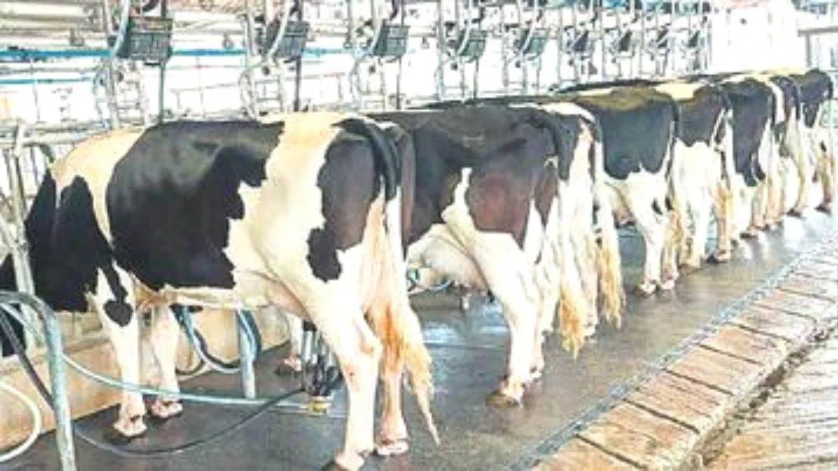 UP News: नई डेयरी नीति से यूपी में पशुपालन क्षेत्र का होगा कायाकल्प, इन  क्षेत्र में खुलेंगे रोजगार के अवसर - New dairy policy will rejuvenate  animal husbandry sector in UP ...