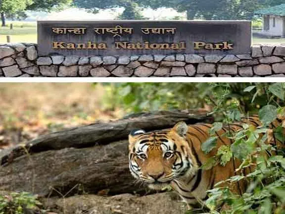 कान्हा नेशनल पार्क सामान्य ज्ञान |कान्हा राष्ट्रीय उद्यान |Kanha Tiger  Reserve Details in Hindi - GK in Hindi | MP GK | GK Quiz| MPPSC | CTET |  Online Gk | Hindi Grammar