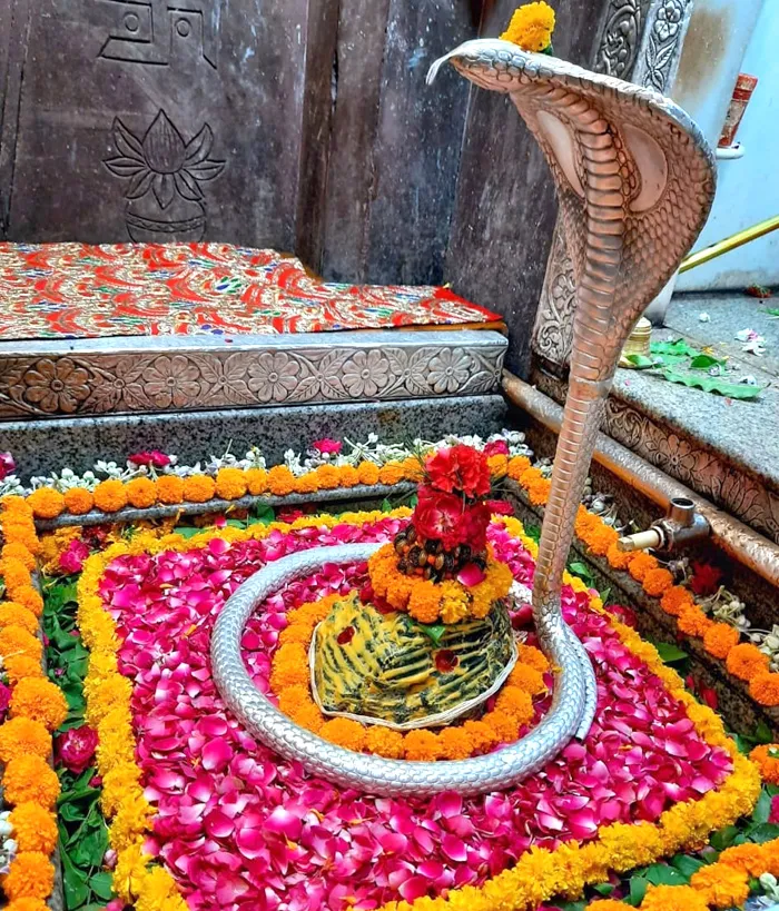 ओंकारेश्वर ज्योतिर्लिंग: जहां प्रतिदिन शयन करने आते हैं भोलेनाथ महादेव