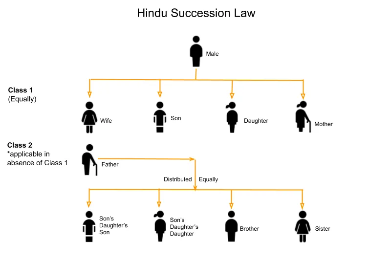 Ladderup Trustee Services | Succession Laws