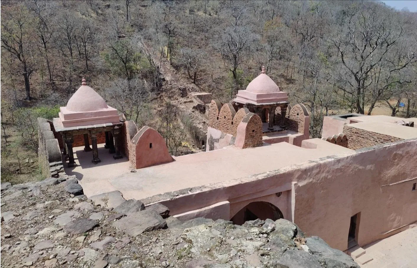 सिंगौरगढ़ किला, दमोह: मध्यप्रदेश की ऐतिहासिक धरोहर
