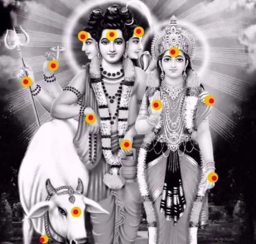 Dattatreya Jayanti: भगवान दत्तात्रेय की यह खास बातें बहुत कम लोग जानते हैं,  क्या आपको मालूम है - lord dattatreya-mobile