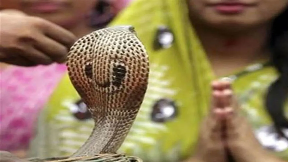 नाग पंचमी - Nag Panchami