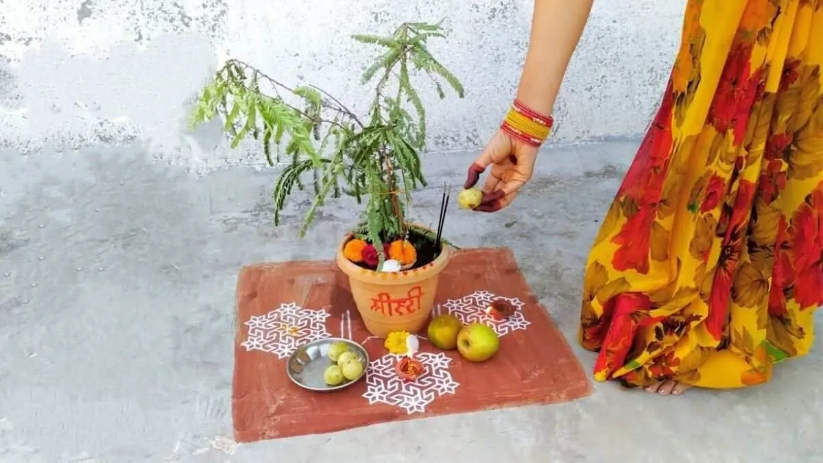 Amla Tree Puja: इस मंत्र का जाप कर आंवले के पेड़ की पूजा करें, भगवान विष्णु  होंगे प्रसन्न - Amla Tree Puja Worship Amla tree by chanting this mantra  Lord Vishnu will