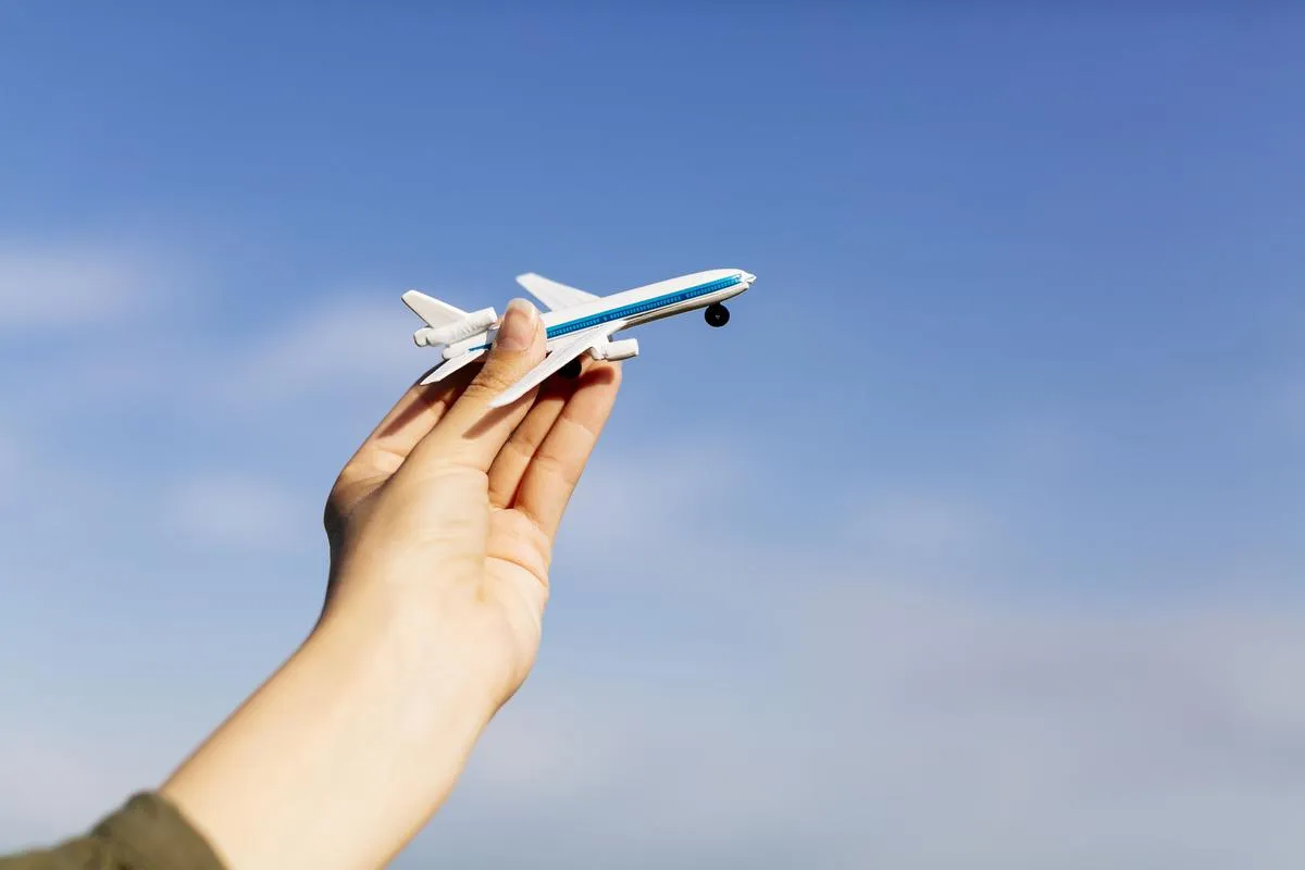 A beginner's guide to a career in aviation - The Hindu