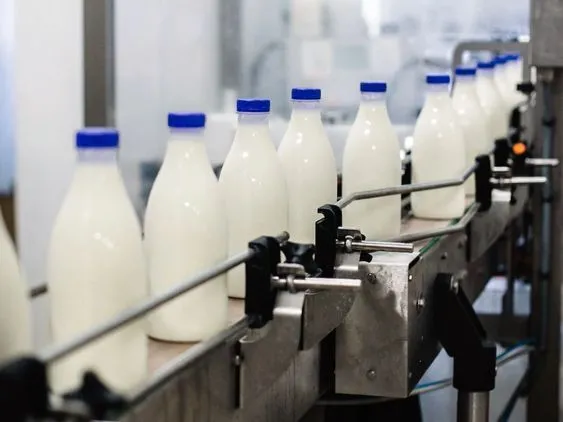 रोज तीन लाख लीटर दूध नहीं बेच पा रही ये डेयरी, बढ़ गई समस्या... - Sanchi  dairy left 3 lakh liters of milk every day