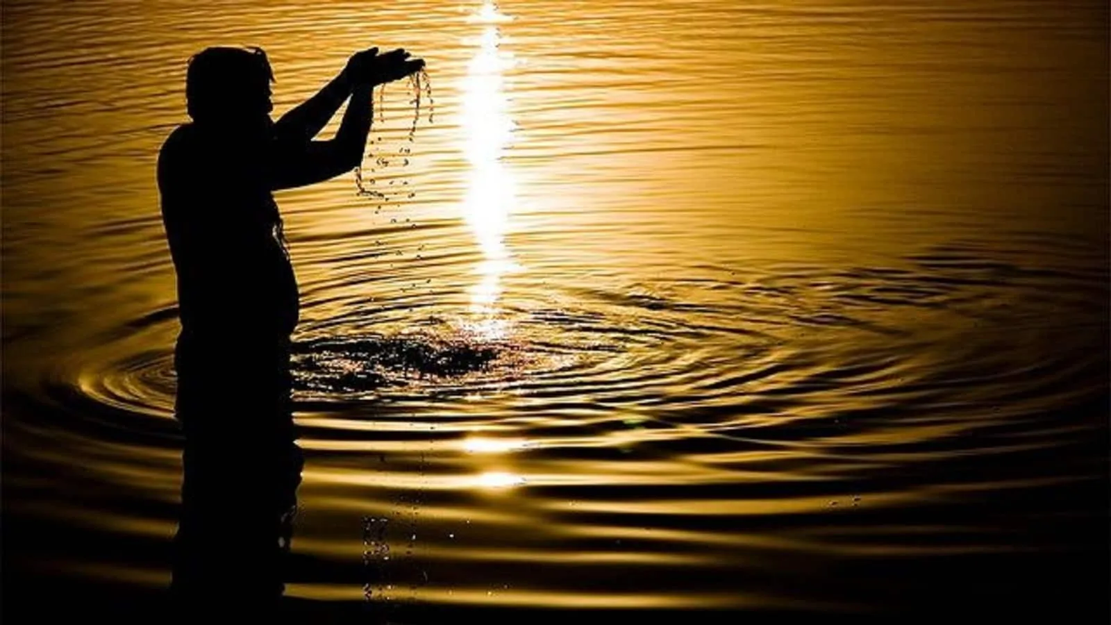 Paush Amavasya 2025: पितरों के तर्पण के लिए अच्छी मानी जाती है पौष अमावस्या,  जानें तिथि, पूजा विधि और महत्व - paush amavasya 2025 is considered  auspicious for pitra tarpan know date