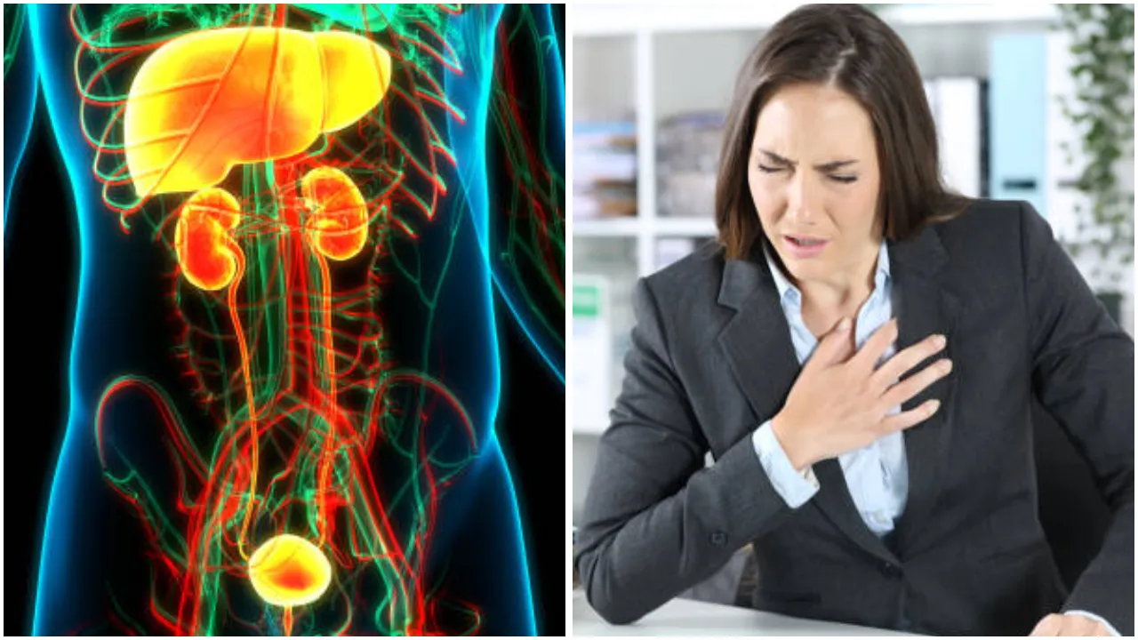 Fatty Liver Cases Rising Among Office Goers What's the Reason | कहीं आपकी 9  से 5 की जॉब तो नहीं बना फैटी लिवर का शिकार? ऑफिस वर्कर्स में क्यों आम हो रही