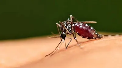 World Mosquito Day: 2025 – August 20 - Sanskriti IAS