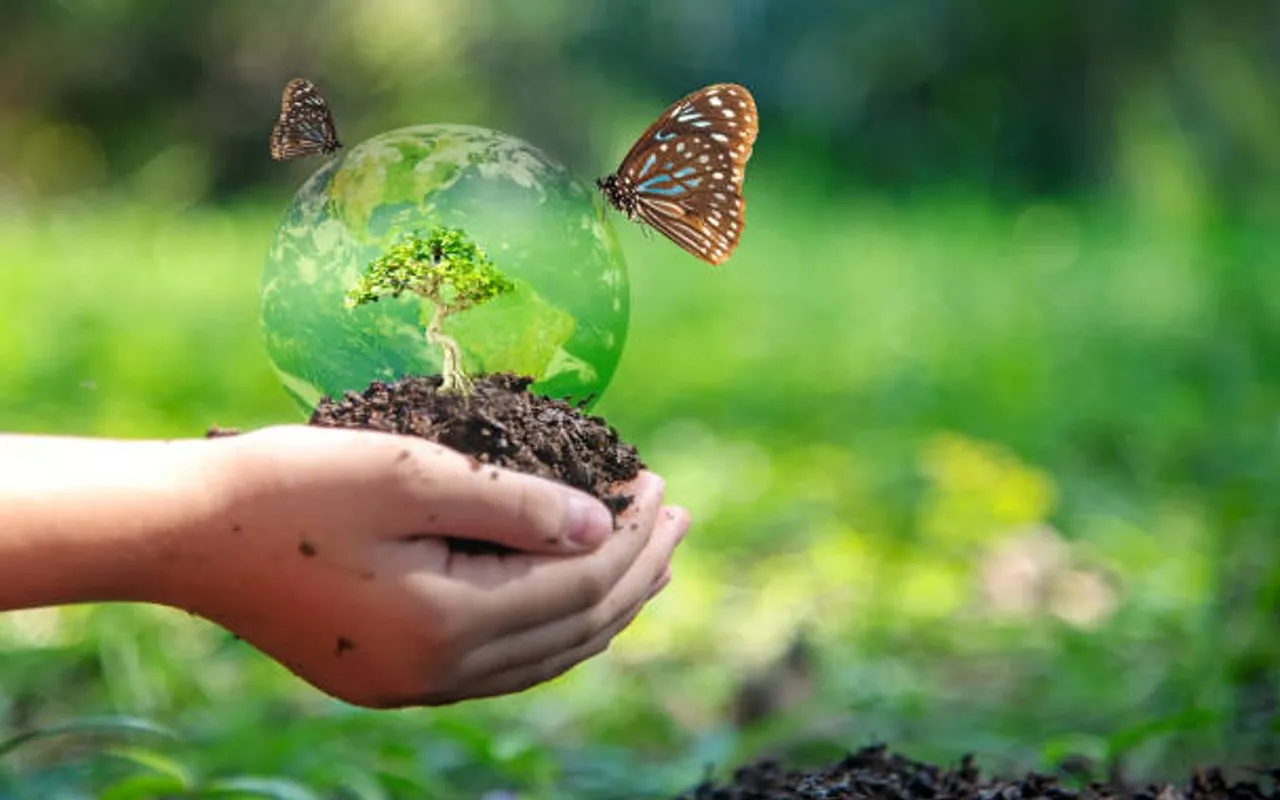 World Soil Day 2022: जानिए विश्व मृदा दिवस का इतिहास, महत्व और इस साल का  विषय - Prabhat Khabar