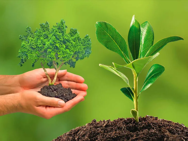 Pitras are satisfied by planting trees and plants in Shradh Paksha: Pipal  is the abode of ancestors and banyan gives salvation. | श्राद्ध पक्ष में  पेड़-पौधे लगाने से संतुष्ट होते हैं पितृ: