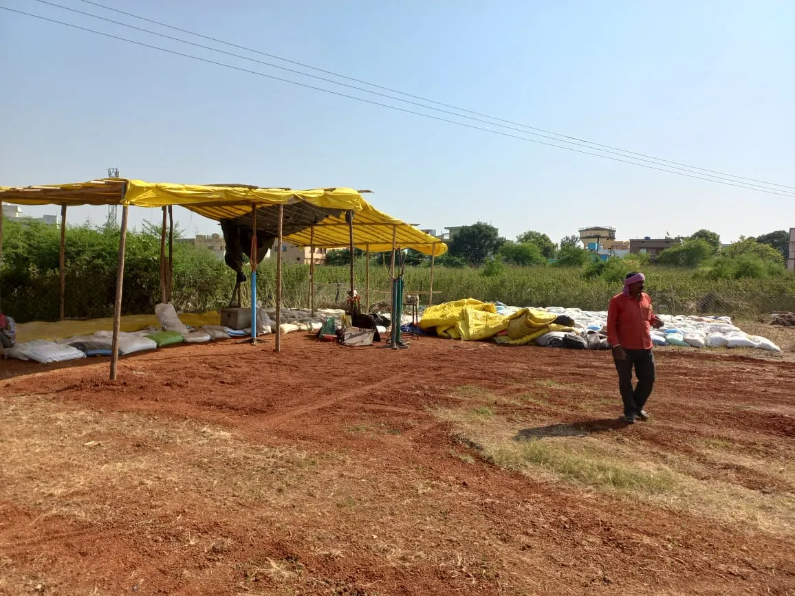 Paddy purchased from one, till now, gunny bags have not reached 54 out of  102 societies of the district | तैयारी अधूरी: धान खरीदी एक से, अब तक जिले  की 102 में