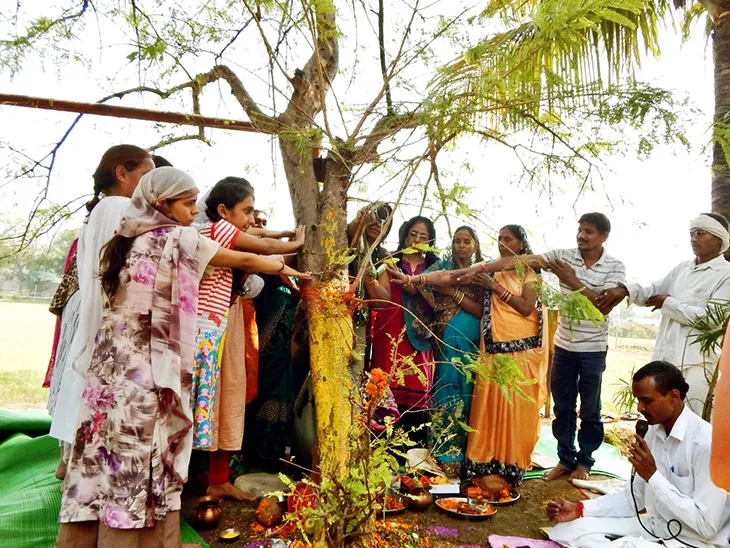 Amla Navami today: Amla tree will be worshiped for eternal virtue, in  Puranas Shivji described this tree as the form of Lord Vishnu. | आंवला नवमी  आज: अक्षय पुण्य के लिए होगी