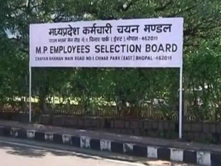 Like MPPSC, candidates will be selected on 87% posts. | ईएसबी की भर्ती:  एमपीपीएससी की तरह 87% पदों पर होगा उम्मीदवारों का सिलेक्शन - Indore News |  Dainik Bhaskar